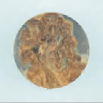 SUS420J2表面画像