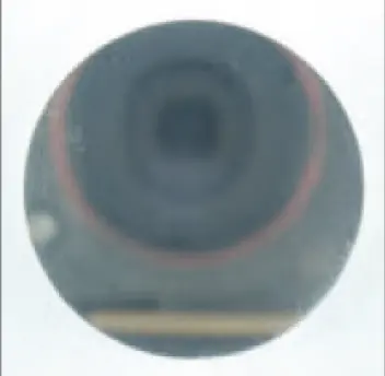 ステライトNo6表面画像